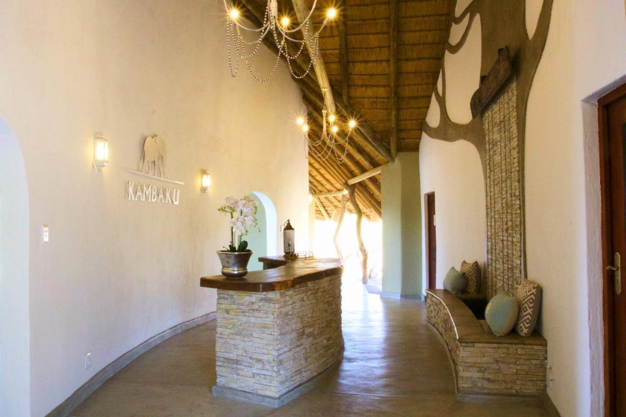 Kambaku River Sands Timbavati Game Reserve Bagian luar foto