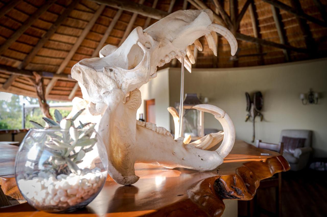 Kambaku River Sands Timbavati Game Reserve Bagian luar foto