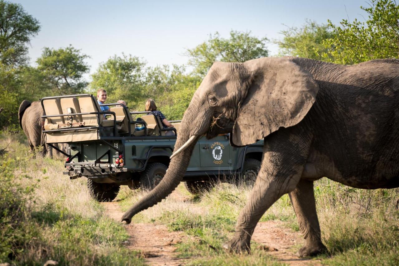 Kambaku River Sands Timbavati Game Reserve Bagian luar foto