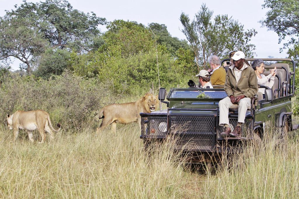 Kambaku River Sands Timbavati Game Reserve Bagian luar foto