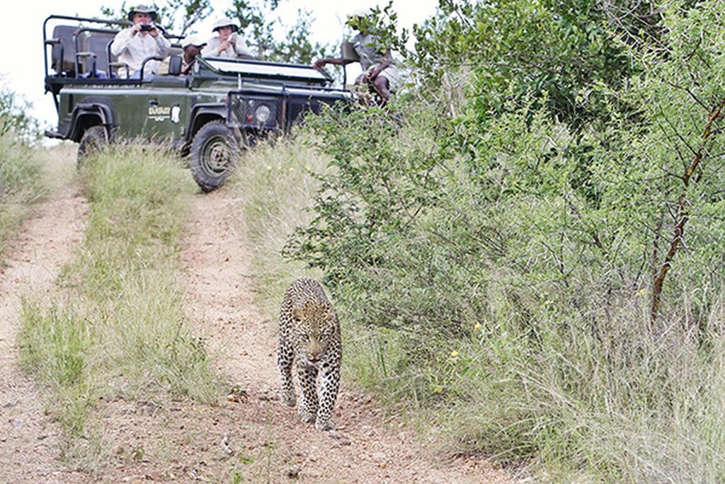 Kambaku River Sands Timbavati Game Reserve Bagian luar foto