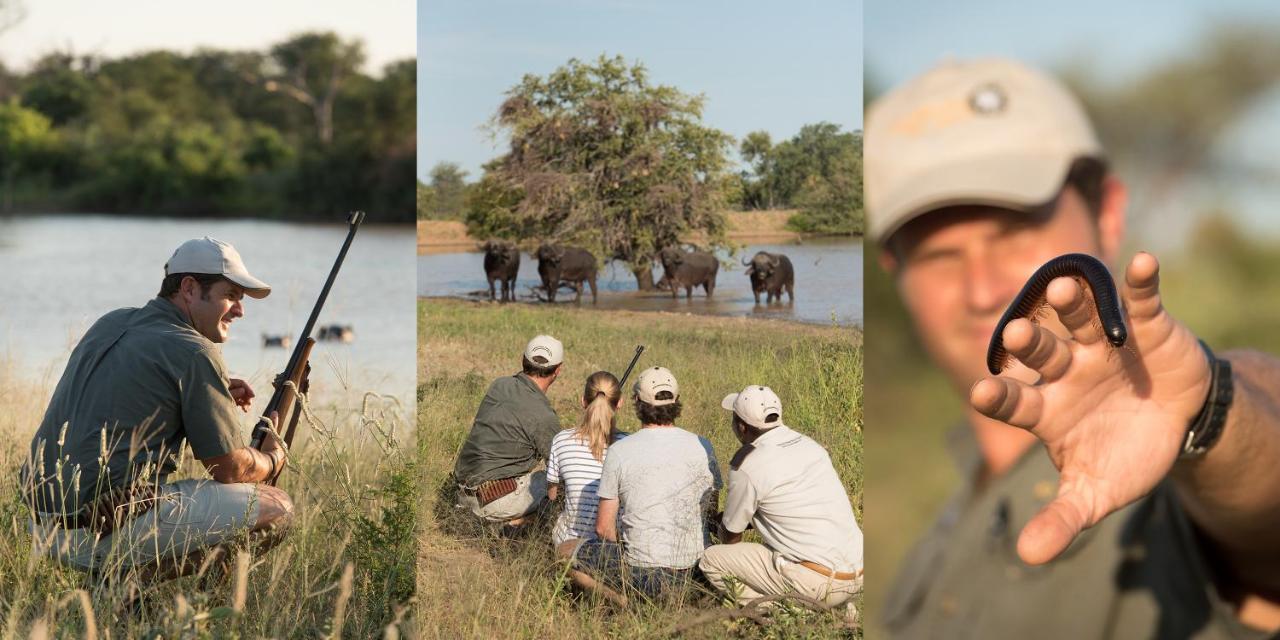 Kambaku River Sands Timbavati Game Reserve Bagian luar foto